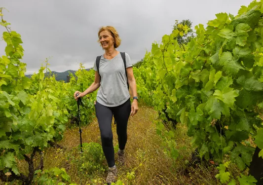 Woman with a walking pole, walking through a field of crops