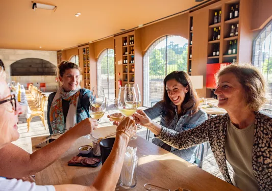 Group of 6 women clinking their glasses of wine, sitting around a rectangular table