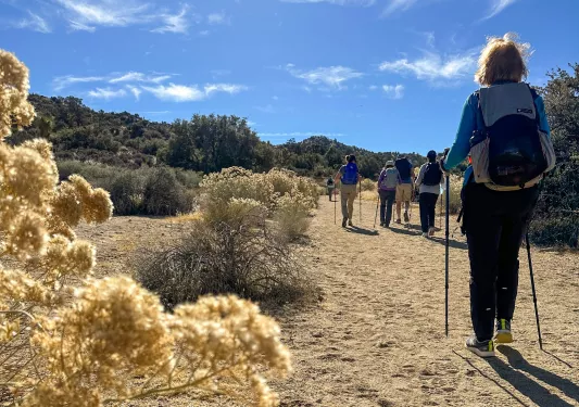 Group of hikers with walking poles, trekking through a dirt and sand trail