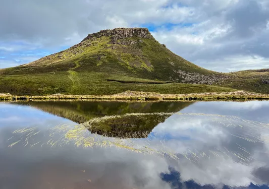 Grassy mountain with a pond filled with loose hay in front