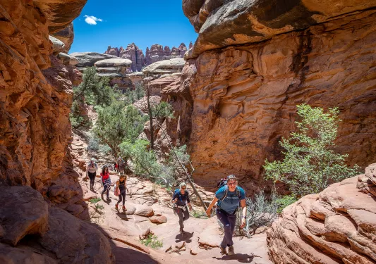 Backroads guests hiking canyons on a sunny day