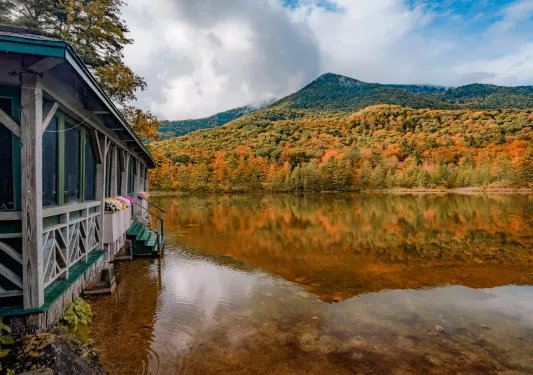 Cabin-style building with a lake surrounded by tall trees