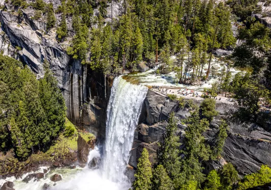 a rushing waterfall surrounded by pine trees