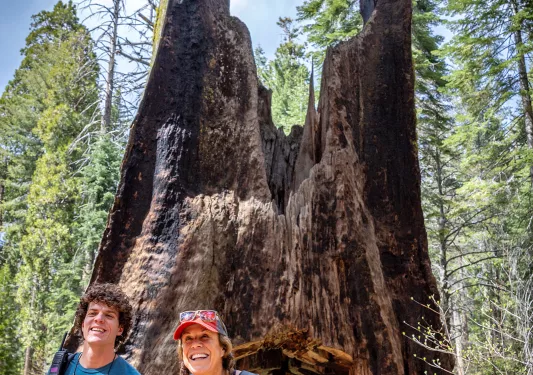 Guests pose with a large tree