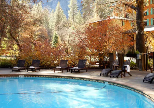 Outdoor pool, surrounded by orange trees and black reclining chairs