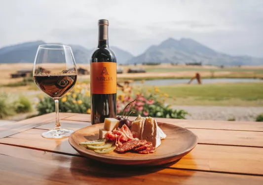 wine bottle, glass of wine, and cheese plate with a view