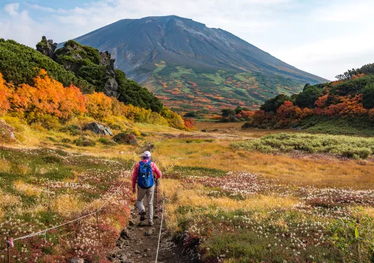 Person walking along a dirt trail, surrounded by flowers and large valleys