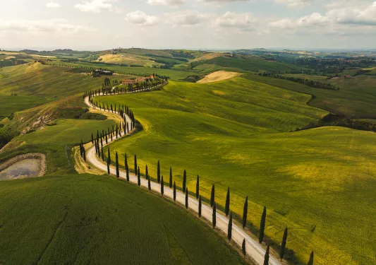 Large grassy valley with trees lined up against a road