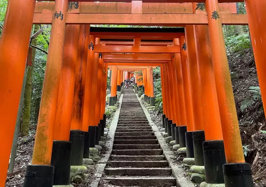 Long walkway of Japanese, red shrine arches