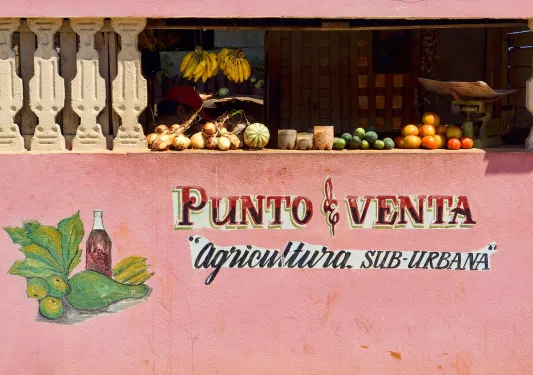 Fruit stand with pink walls and fruit on a shelf