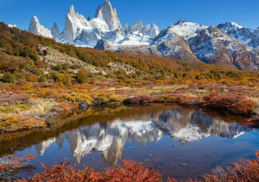 Small pond in the middle of a valley of bushes
