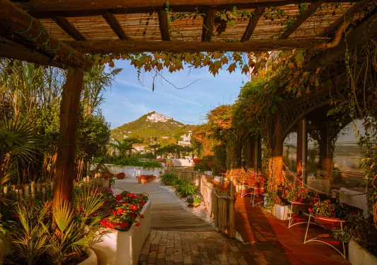 Outdoor patio and walkway surrounded by large plants with a view of a mountain in the distance