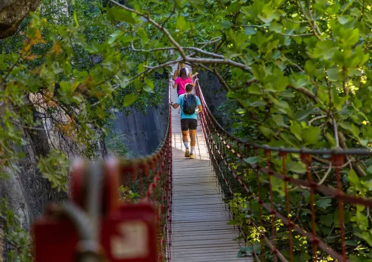 Group of people walking across a long, wooden bridge