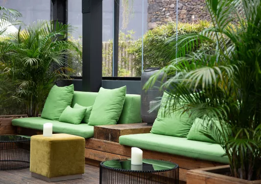 Seating area with green sofas with large windows and plants surrounding