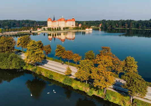 Long road surrounded by trees and a large building in the background