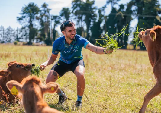 Man feeding grass to three cows