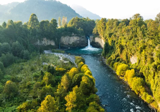 Large river with a forest surrounding