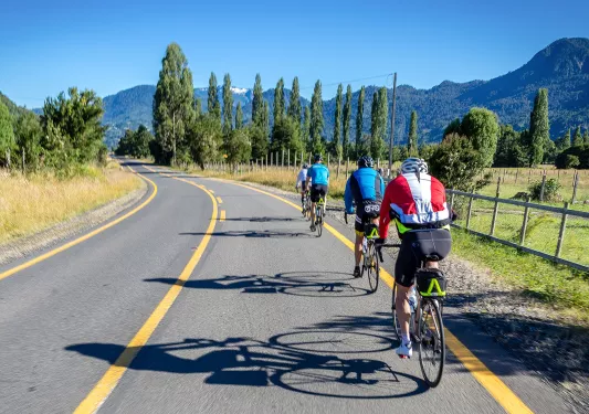 Row of 4 people riding bikes on a road