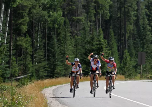 Three bikers on a road with trees in the background