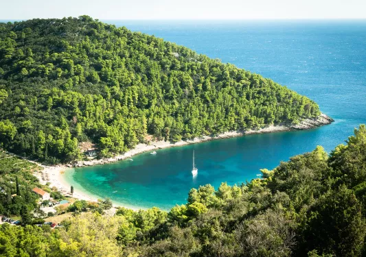 Lake connected to the ocean with tall trees to the left