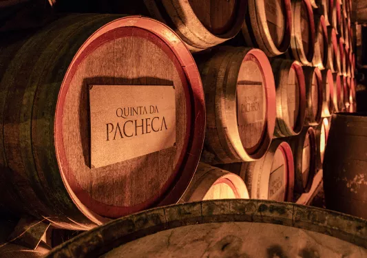 Wine barrels in a cellar