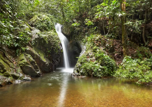 Lake inside of a forest, with a waterfall in the back