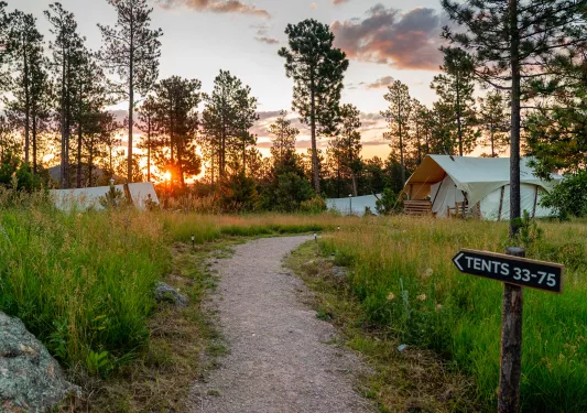 Gravel trail surrounded by tall grass leading towards luxury tents