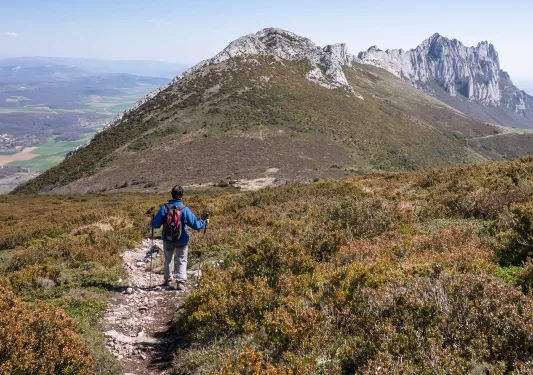Person walking on a field of dried weeds towards a hill