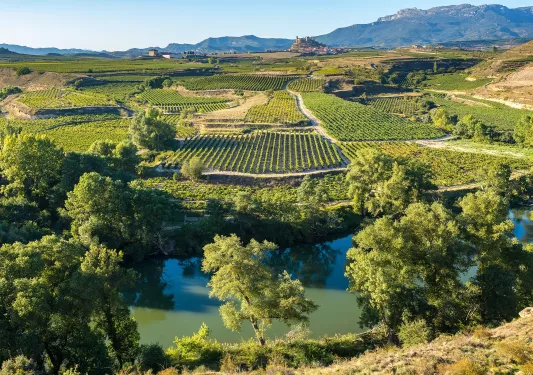 Large valley of crops with a small pond in front