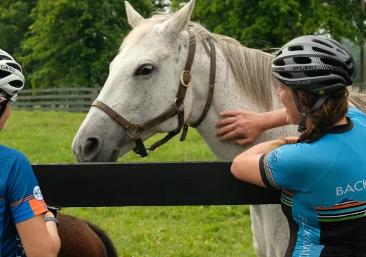 Woman smiling while petting a horse in a field