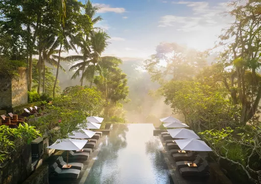 Outdoor infinity pool with reclining chairs surrounding and views of a forest