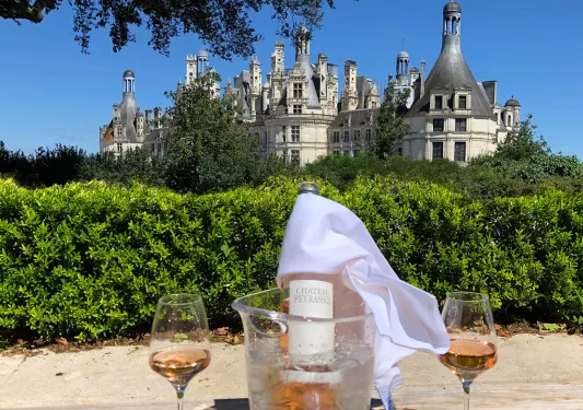 Bottle of wine in an ice bucket, with a castle-like building in the background