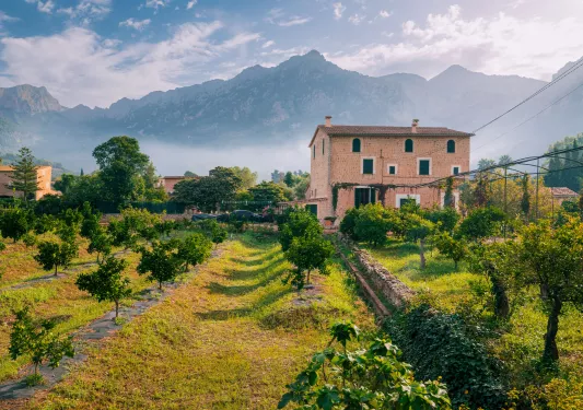 Large crop field with a stone building in the background