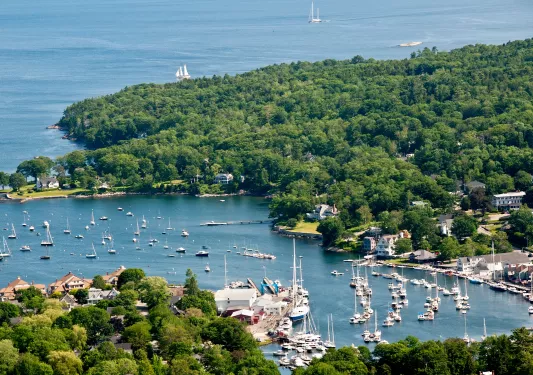Sky view of a lake with a large forest in the back