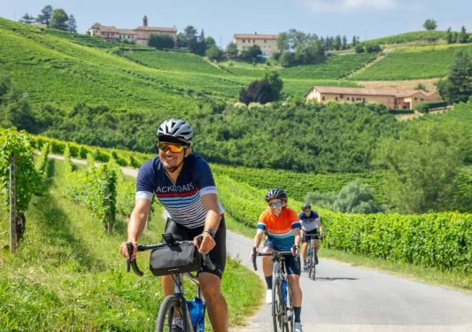 Three people riding bikes on a road with large crop fields in the background