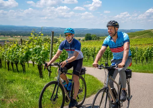 Two men riding bikes on a road, surrounded by tall crop trees