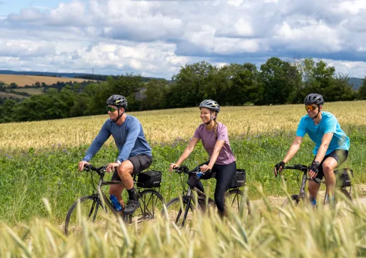 Two men and one woman riding bikes on a road, surrounded by tall weeds