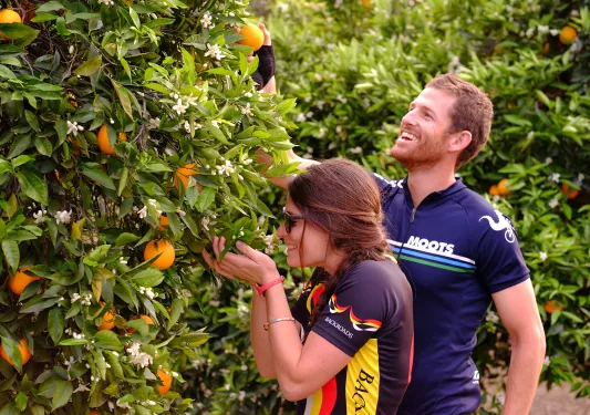 Man and woman picking oranges and smiling
