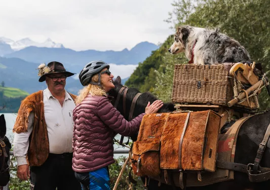 Dog sitting on a horse's saddle, while a woman is petting the horse