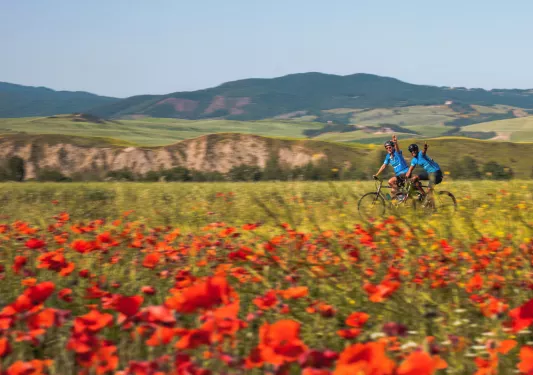 Two bikers on a road surrounded by red flowers and tall mountains