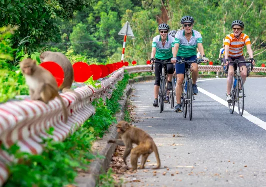 Group of women riding bikes on an empty road, with a group of monkeys sitting on a railing