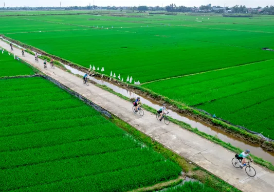 Group of people biking on an empty road surrounded by rice paddies