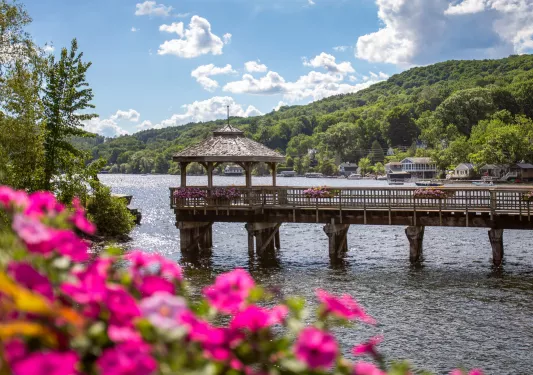 Wooden bridge over a lake with flowers surrounding the bridge