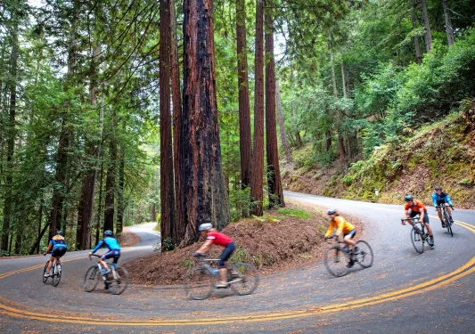 Group of people riding bikes down hairpin turns on a hill