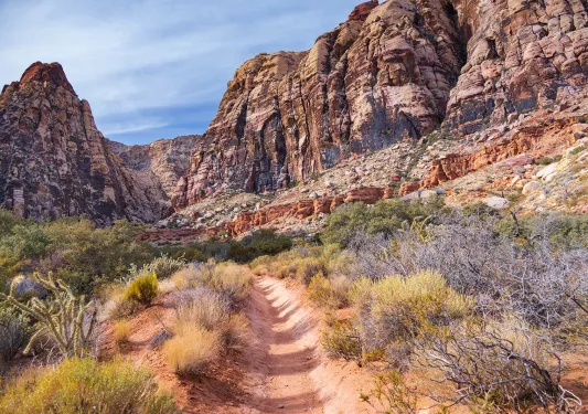 Dirt trail surrounded by dried plants and large mountains