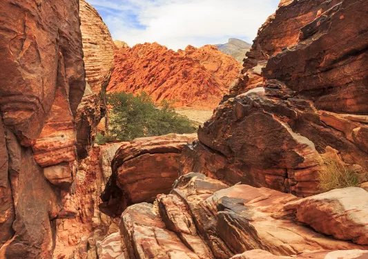 Red canyons in the middle of a valley