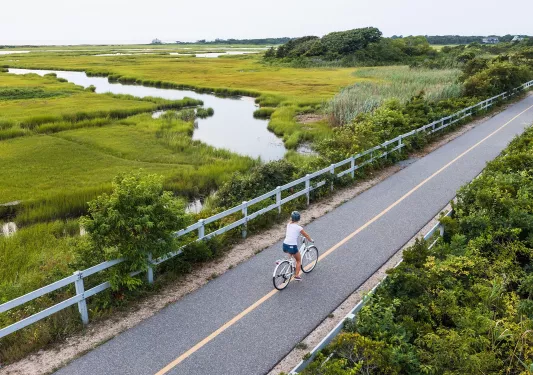 Woman riding a bike on an empty road, with a marsh in the distance