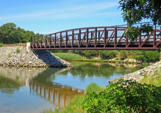 Bridge over a small river, with plants surrounding the river