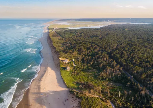 Sky view of a beach with a large forest to the right