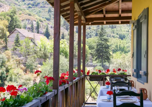 Outdoor patio with dining tables and roses along a wooden balcony